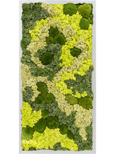 Moss Painting Aluminum 30% Ball moss 70% Reindeer moss (Mix) 80-40-6