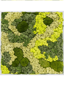 Moss Painting Aluminum 30% Ball moss 70% Reindeer moss (Mix) 80-80-6