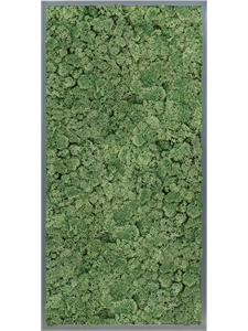 Moss Painting MDF RAL 7016 Satin Gloss 100% Reindeer moss (Moss green)