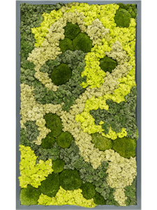 Moss Painting MDF RAL 7016 Satin Gloss 30% Ball moss 70% Reindeer moss (Mix)