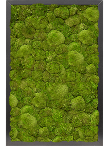 Moss Painting MDF RAL 9005 Satin Gloss 100% Ball moss