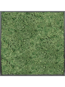 Moss Painting MDF RAL 9005 Satin Gloss 100% Reindeer moss (Moss green)