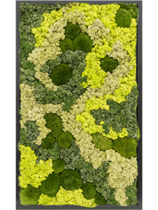 Moss Painting MDF RAL 9005 Satin Gloss 30% Ball moss 70% Reindeer moss (Mix)