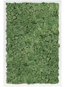 Moss Painting MDF RAL 9010 Satin Gloss 100% Reindeer Moss (Moss green) 60-40-6