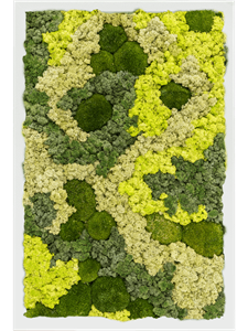 Moss Painting MDF RAL 9010 Satin Gloss 30% Ball moss 70% Reindeer moss (Mix)