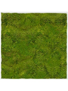 Moss Painting Stiel L Ral 9010 Matt 100% Flat Moss