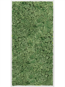 Moss Painting Aluminum 100% Reindeer moss (Moss green) 120-60-6