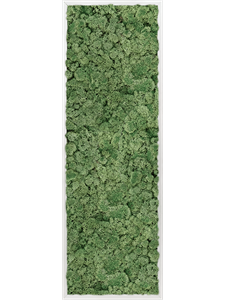 Moss Painting Aluminum 100% Reindeer moss (Moss green)