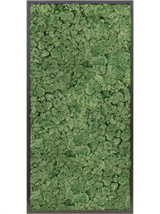 {{productViewItem.photos[photoViewList.activeNavIndex].Alt || productViewItem.photos[photoViewList.activeNavIndex].Description || 'Moss Painting MDF RAL 9005 Satin Gloss 100% Reindeer moss (Moss green) 120-60-6'}}