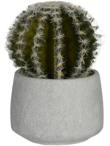 {{productViewItem.photos[photoViewList.activeNavIndex].Alt || productViewItem.photos[photoViewList.activeNavIndex].Description || 'Cactus In Cement Pot'}}