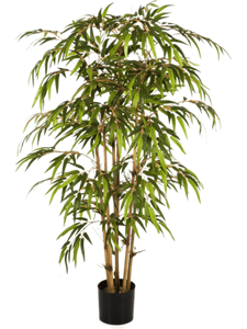 Bamboo Tree Typ 2