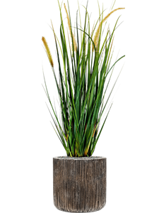 {{productViewItem.photos[photoViewList.activeNavIndex].Alt || productViewItem.photos[photoViewList.activeNavIndex].Description || 'Grass Foxtail in Baq Luxe Lite Universe Waterfall'}}