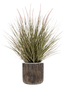 {{productViewItem.photos[photoViewList.activeNavIndex].Alt || productViewItem.photos[photoViewList.activeNavIndex].Description || 'Grass Pennisetum in Baq Luxe Lite Universe Waterfall'}}