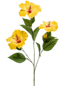 Hibiscus Spray x3 Yellow
