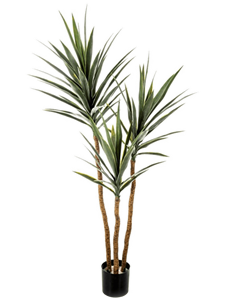 Yucca Tree De Luxe (160 cm)