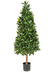 Laurel Tree UV (140 cm)