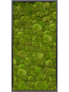 Moosbild MDF RAL 9005 Satin Gloss 100% Ball moss 120-60-6
