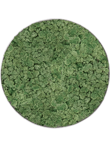 Moosbild Nova Frame Natural-concrete 100% Reindeer Moss (Moss green) 39-5