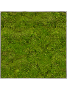 Moosbild Nova Frame Natural-concrete 100% Flat moss 30-30-5