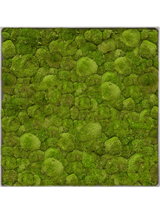 Moosbild Nova Frame Natural-concrete 100% Ball moss 30-30-5