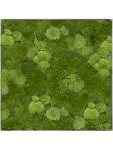 Moosbild Nova Frame Natural-concrete 30% Ball- and 70% flat moss 30-30-5