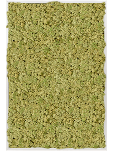 Moosbild Aluminum 100% Reindeer moss (Old Green) 120-80-6
