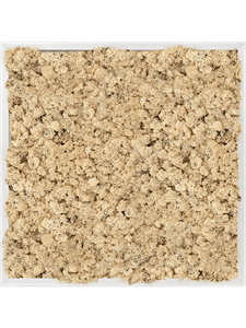 Moosbild Aluminum 100% Reindeer moss (Natural) 60-60-6