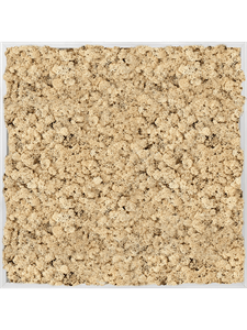 Moosbild Aluminum 100% Reindeer moss (Natural) 80-80-6