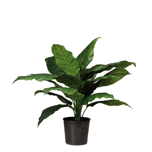 {{productViewItem.photos[photoViewList.activeNavIndex].Alt || productViewItem.photos[photoViewList.activeNavIndex].Description || 'Einblatt - Spathiphyllum Kunstpflanze, 90 cm'}}