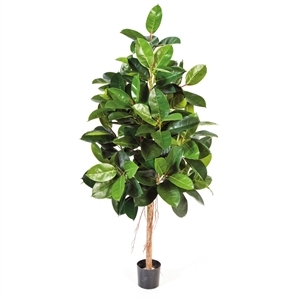 {{productViewItem.photos[photoViewList.activeNavIndex].Alt || productViewItem.photos[photoViewList.activeNavIndex].Description || 'Ficus Elastica grün - Gummibaum Kunstpflanze, 180 cm'}}