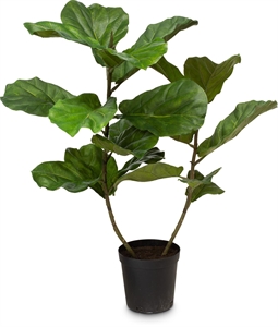 {{productViewItem.photos[photoViewList.activeNavIndex].Alt || productViewItem.photos[photoViewList.activeNavIndex].Description || 'Geigenfeige Ficus Lyrata, Kunstpflanze 107 cm'}}