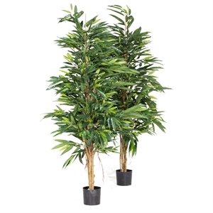 {{productViewItem.photos[photoViewList.activeNavIndex].Alt || productViewItem.photos[photoViewList.activeNavIndex].Description || 'Longifolia Royal Natural Kunstpflanze, 150 cm'}}