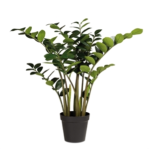 {{productViewItem.photos[photoViewList.activeNavIndex].Alt || productViewItem.photos[photoViewList.activeNavIndex].Description || 'Zamioculcas - Glücksfeder Kunstpflanze, 90 cm'}}