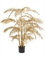 Areca Palm Bush Gold (40 lvs.) - Foto 34017