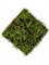 Grass Moss Green/Brown matt - Foto 34104