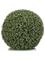 Boxwood Ball mini leaf Typ 2 - Foto 36149