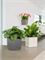 Lechuza Cube Premium Single planter high-gloss - Foto 46950