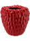 Raspberry Vase - Foto 50491