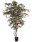 Fuchsia Tree Lavender - Foto 51813