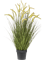 Grass Cattail Bush (28 fl.) - Foto 56841