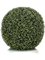 Boxwood Ball mini leaf - Foto 57114
