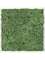 Moss Painting Aluminum 100% Reindeer moss (Moss green) - Foto 57218