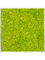 Moss Painting Aluminum 100% Reindeer moss (Spring green) - Foto 57223