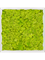 Moss Painting Aluminum 100% Reindeer moss (Spring green) - Foto 57224