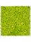 Moss Painting Aluminum 100% Reindeer moss (Spring green) - Foto 57229