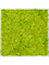 Moss Painting Aluminum 100% Reindeer moss (Spring green) - Foto 57232