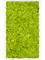 Moss Painting MDF RAL 9010 Satin Gloss 100% Reindeer Moss (Spring green) - Foto 57337