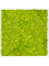 Moss Painting MDF RAL 9010 Satin Gloss 100% Reindeer Moss (Spring green) - Foto 57338