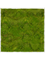 Moss Painting Stiel L Ral 9010 Matt 100% Flat Moss - Foto 57359