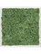 Moss Painting Aluminum 100% Reindeer moss (Moss green) - Foto 57393